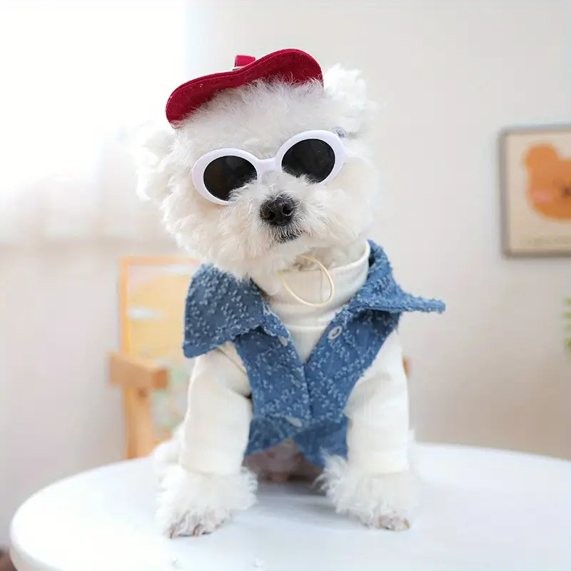 Street Fashion Shoot - Köpek Modası Beyzbol Şapkası ve Güneş
